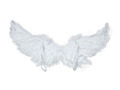 White feather wings with light 80x40 cms