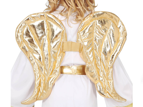 Gold Angel Wings - 50 x 40 cm