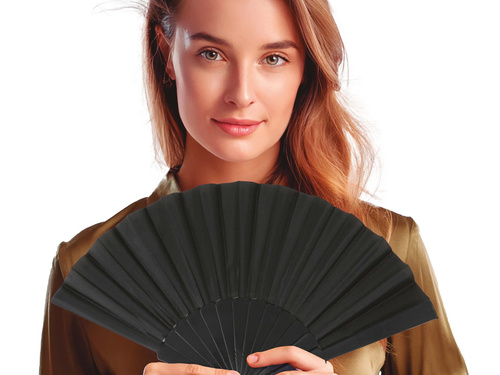 Black fan