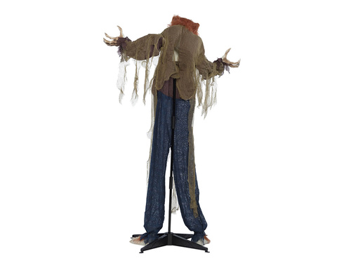 Mean wolf 160 cms