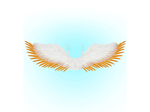 Angel wings white - 100 x 25 cm