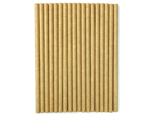 Paper Straws - 20 cm - 18 pc