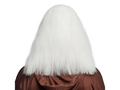 Wig Wise man