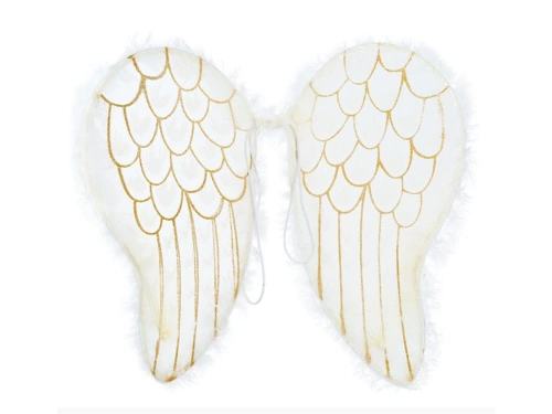 Angel Wings - 47 x 40 cm