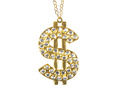 Necklace Dollar