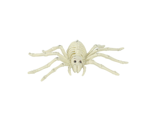 Spider skeleton - 24 cm - 1 pc.