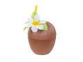 Coconut cup + straw