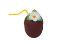 Coconut glass with straw and flower