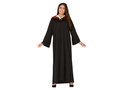 Costume Harry Potter