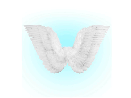 Angel wings white - 86 x 31 cm