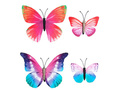 Set of  butterfly hair clips - 4 pc