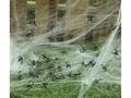 Black spiders - 50 pcs