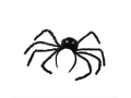 Spider tiara