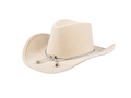 Cowboy hat