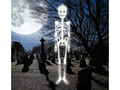 Fluorescent skeleton - 75 cm - 1 pc