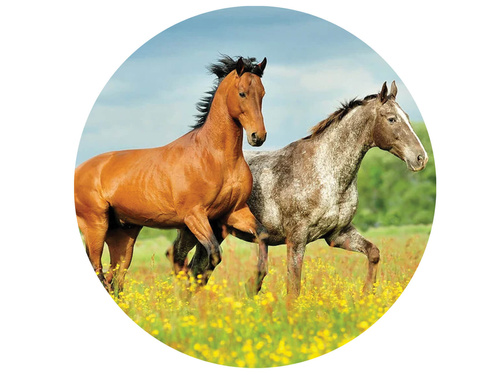 Decorative cake wafer Horses - 20 cm