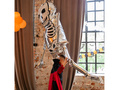 Skeleton Foil Balloon - 47 cm x 81 cm - 1 pc