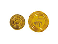 Gold Coins Plastic - 25 pcs