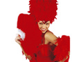 Red feather fan