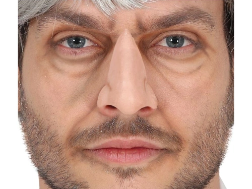 Nose