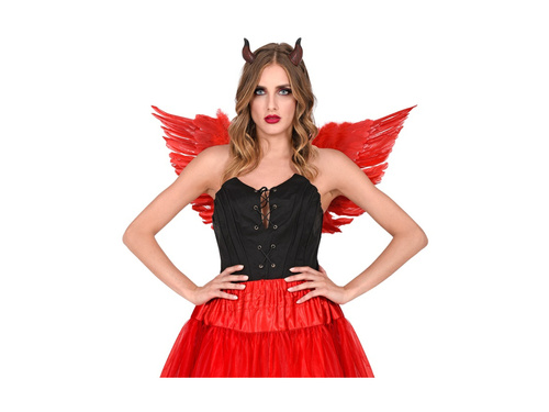 Czerwone skrzydła z piór 78×36 cm