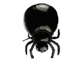 Black Spider Foil Balloon - 62 cm