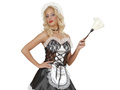 Feather duster