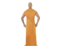 Adults Hare Krishna