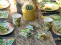Birthday napkins Dinosaurs - 33 cm - 20 pcs.