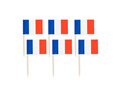 France Flag Picks - 50 pcs