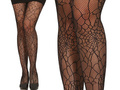 Pantyhose Spider widow