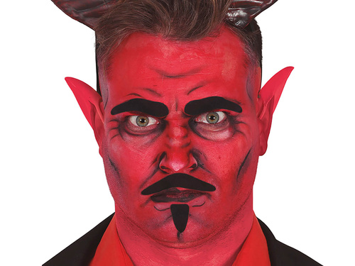 Black goatee, moustache and eyebrows