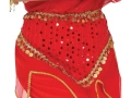 Adult Indian woman Costume