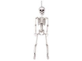 Skeleton Pendant - 60 cm