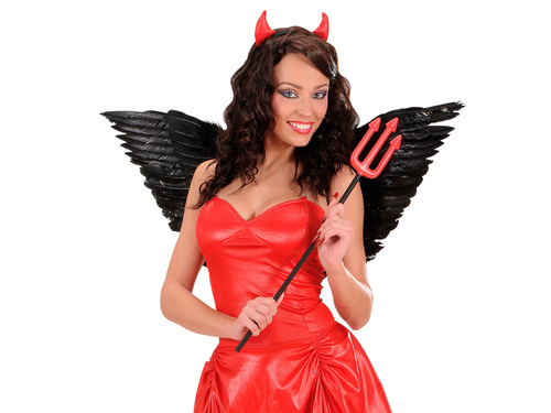 Angel wings black
