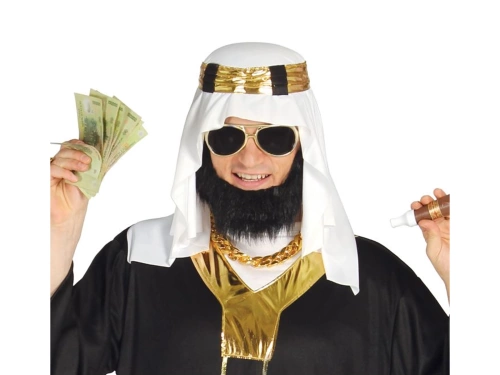 Petro dollar shail Costume