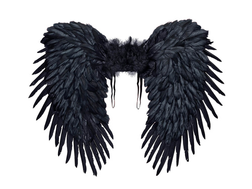 Angel wings black