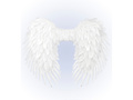 Angel wings white - 65 x 65 cm