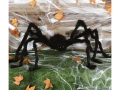 Black Spider 150 cm