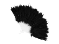 Black feather fan