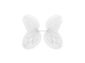 Białe skrzydła 58×46 cm
