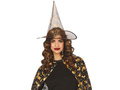 Adult Black Witch costume