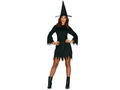 Adult Black Witch costume