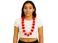 Hawaiian red necklace.
