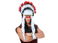 Indian Feather Headdress