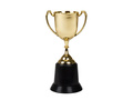 Trofeum zwycięzcy - 1 szt.