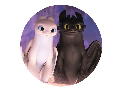 Decorative cake wafer How to Train Your Dragon 3 - 20 cm