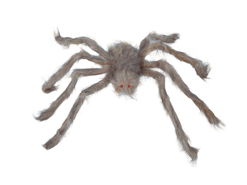 Grey Spider - 60 cm
