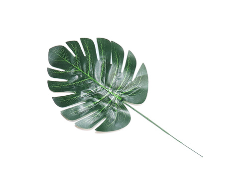 5 Leaves