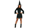 Adult Black Witch costume